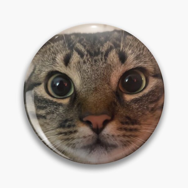Item preview, Staring contest Cat designed and sold by Agathepages.