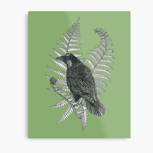 ink crow in a fern forest on dark green Metal Print