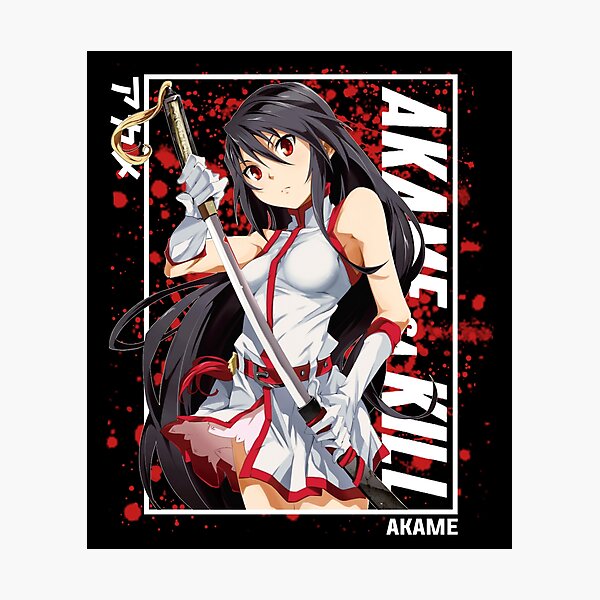 Akame~Akame ga Kill Zero  Anime warrior girl, Anime warrior