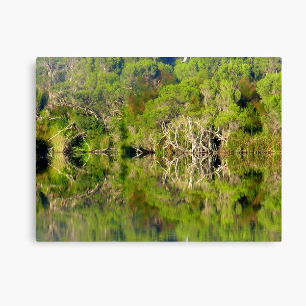 Untitled Canvas Print