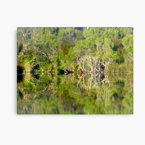 Untitled Metal Print