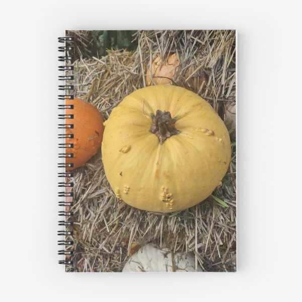 Item preview, Pumpkin craze designed and sold by CHWPhotos.