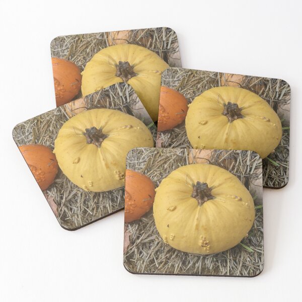 Item preview, Pumpkin craze designed and sold by CHWPhotos.