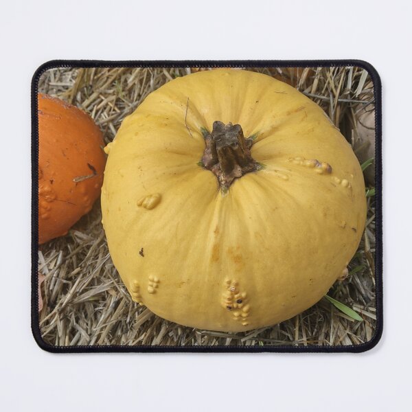 Item preview, Pumpkin craze designed and sold by CHWPhotos.