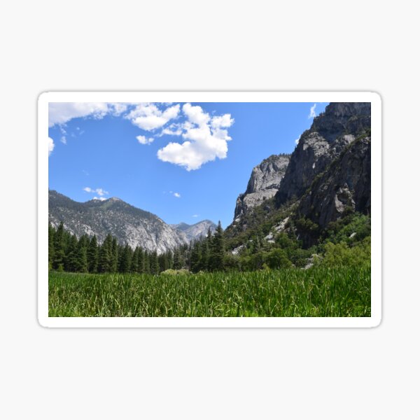Item preview, Field Surrounded by Mountains and Forest (Sequoia) designed and sold by Luxalibi.