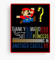 Mario Castle Canvas Print