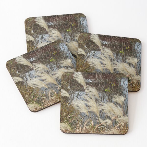 Item preview, Pampas grass  designed and sold by Shulie1.