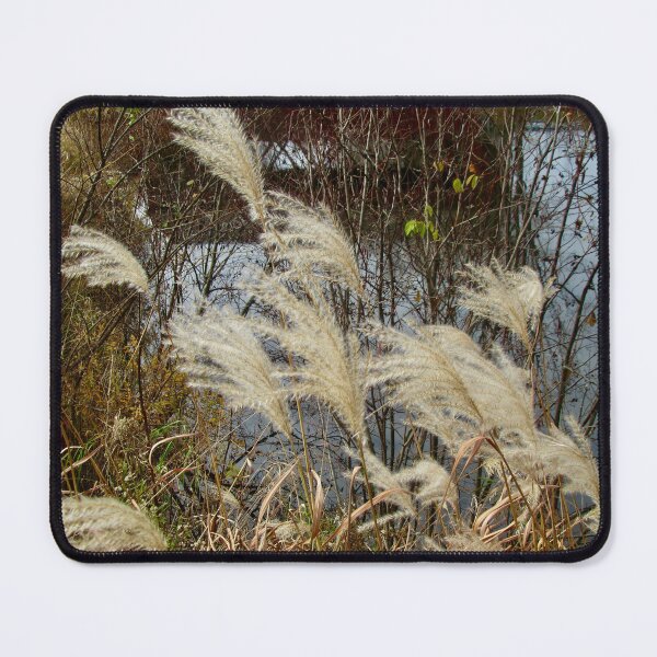 Item preview, Pampas grass  designed and sold by Shulie1.