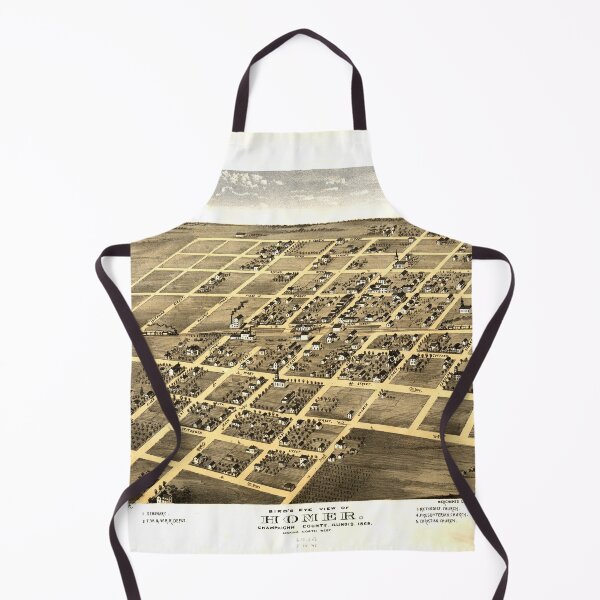 Item preview, Homer, Illinois (1869) designed and sold by allhistory.
