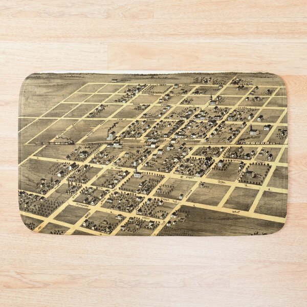 Item preview, Homer, Illinois (1869) designed and sold by allhistory.