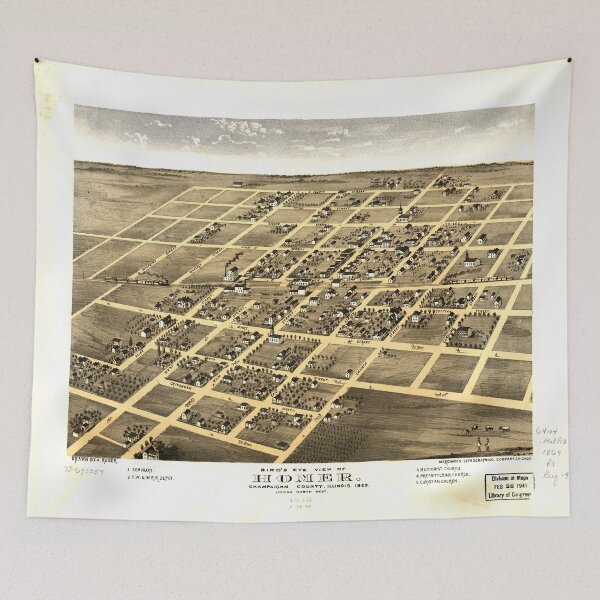 Item preview, Homer, Illinois (1869) designed and sold by allhistory.