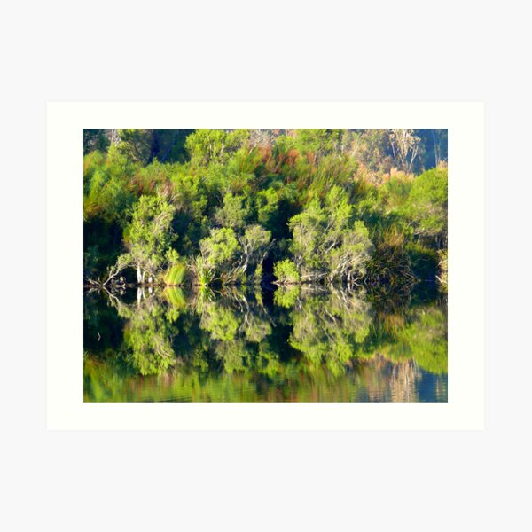Untitled Art Print