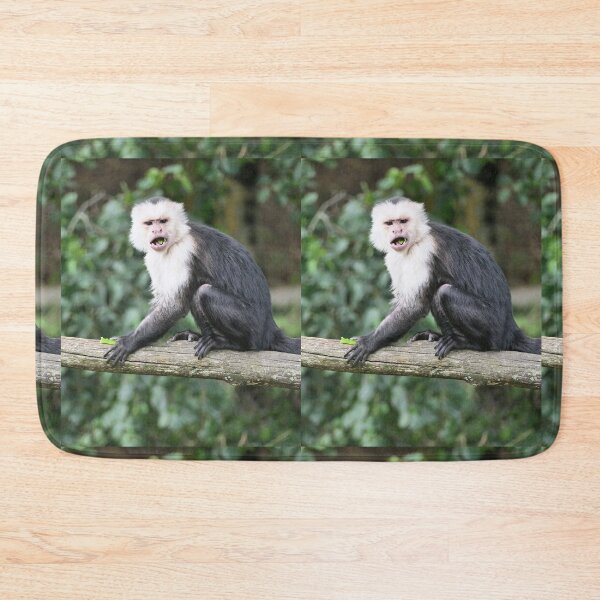 Item preview, vr 3468- 1/ finition 2023  singes : les Capucins à épaule blanches -  Okaio Créations Olavia-Olao designed and sold by o.okaïo.
