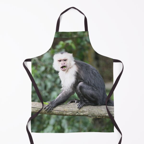 Item preview, vr 3468- 1/ finition 2023 singes : les Capucins à épaule blanches - Okaio Créations Olavia-Olao designed and sold by o.okaïo.