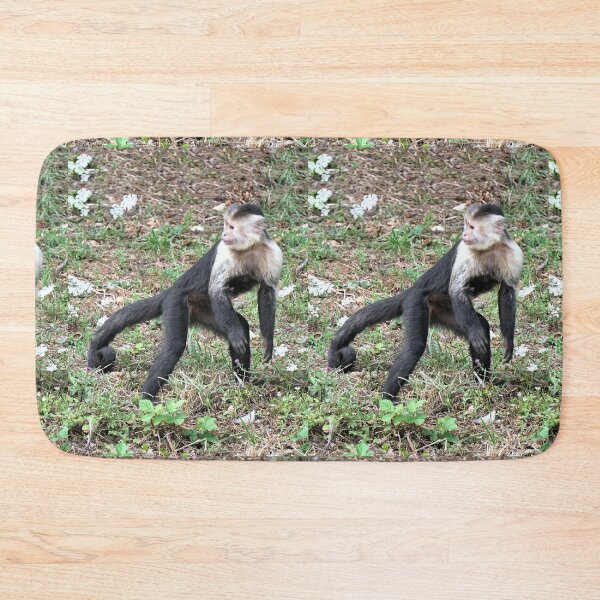 Item preview, vr 3469- 2/ finition 2023  singes : les Capucins à épaule blanches -  Okaio Créations Olavia-Olao designed and sold by o.okaïo.
