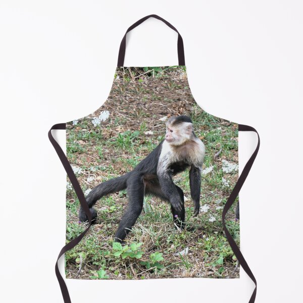 Item preview, vr 3469- 2/ finition 2023 singes : les Capucins à épaule blanches - Okaio Créations Olavia-Olao designed and sold by o.okaïo.