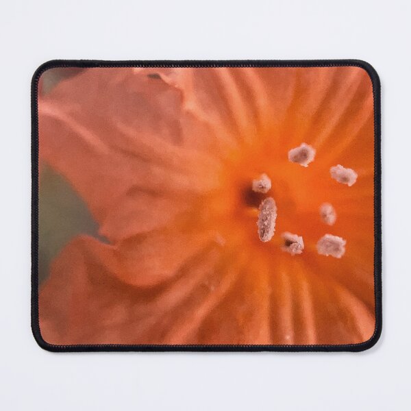 Item preview, Arrowleaf Sida designed and sold by Jason Tompkins.