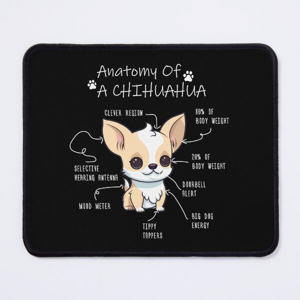 Item preview, Chiwawa Anatomy designed and sold by Petensity.