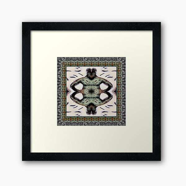 Framed Art Print