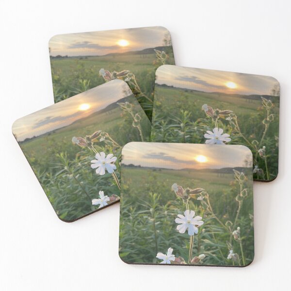 Item preview, White Wildflower designed and sold by Bridget Swanson.