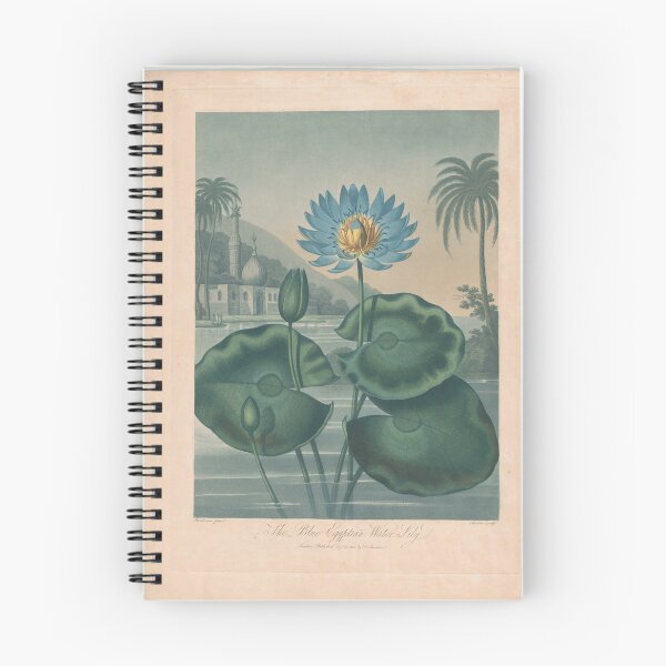 Item preview, Blue Egyptian Water Lily Poster Print by Dr R Thornton designed and sold by Suzana Djordjevic.