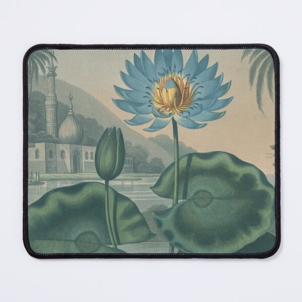Item preview, Blue Egyptian Water Lily Poster Print by Dr R Thornton designed and sold by Suzana Djordjevic.
