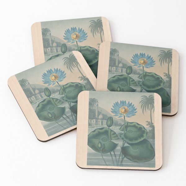 Item preview, Blue Egyptian Water Lily Poster Print by Dr R Thornton designed and sold by Suzana Djordjevic.