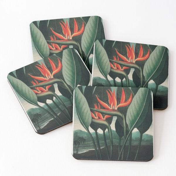 Item preview, The Queen Plant (Botanical Art from The Temple of Flora) designed and sold by Suzana Djordjevic.