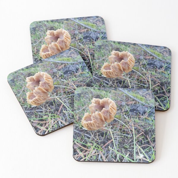 Item preview, Cute little shroom designed and sold by JJ-Huffman.