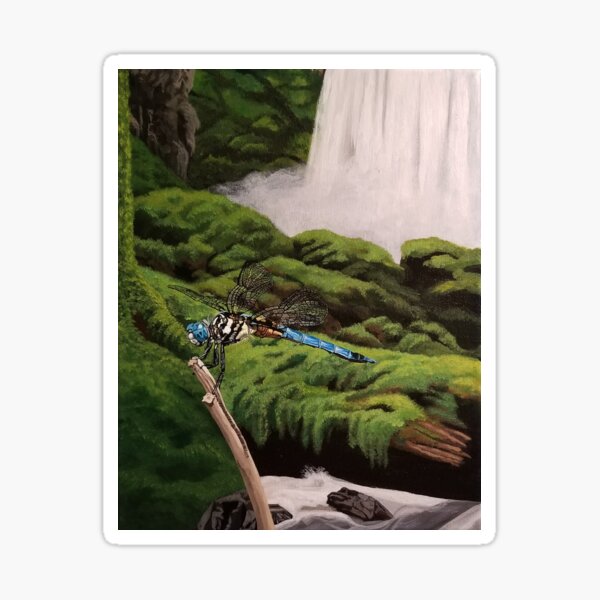 Dragonfly at Latourell Falls Oregon Sticker