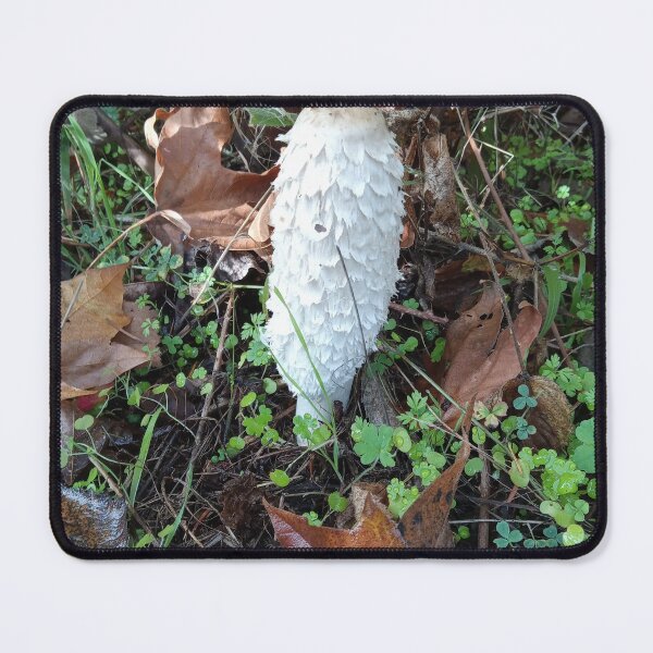 Item preview, Mushroom towers designed and sold by JJ-Huffman.