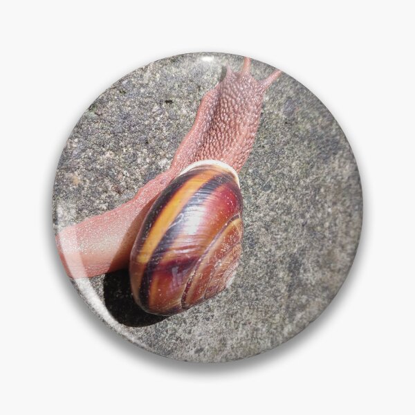 Item preview, Racing Snail designed and sold by JJ-Huffman.