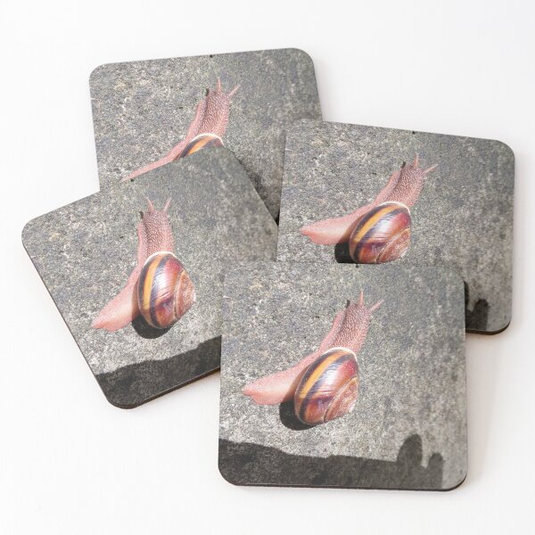 Item preview, Racing Snail designed and sold by JJ-Huffman.