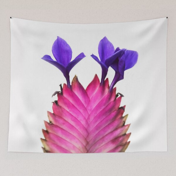 Item preview, Tillandsia Cyanea  ( Pink Quill) designed and sold by heatherfriedman.