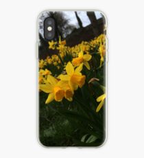 daffodils iPhone Case