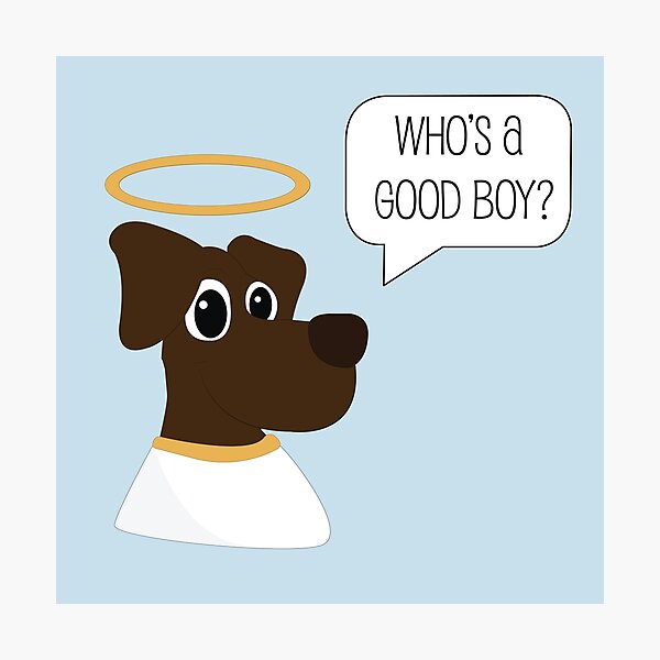 Ты сделал неправильный выбор как я встретил вашу маму. You are a good boy. Always be a good boy. Good boy мем. Always be a good boy.