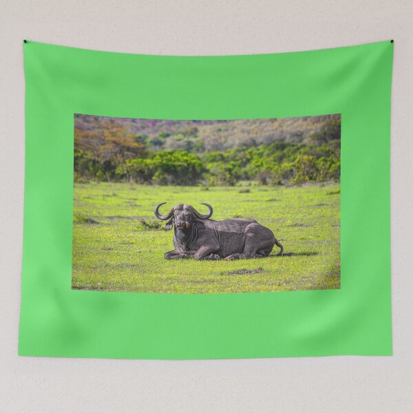 Item preview, Kenya. Maasai Mara National Reserve. Cape Buffalo. designed and sold by vadim19.