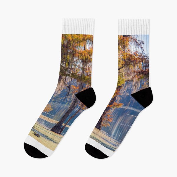 Item preview, Glowing Cypress Trees in the morning light designed and sold by Alla Gill.