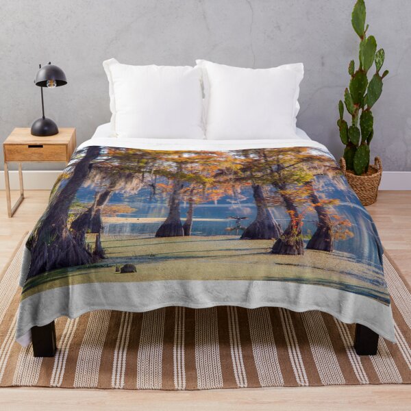 Item preview, Glowing Cypress Trees in the morning light designed and sold by Alla Gill.