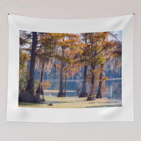 Item preview, Glowing Cypress Trees in the morning light designed and sold by Alla Gill.