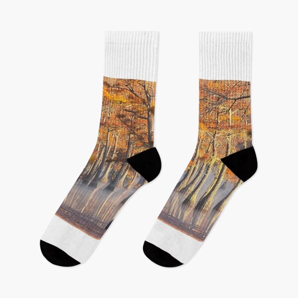 Item preview, Cypress Paradise designed and sold by Alla Gill.