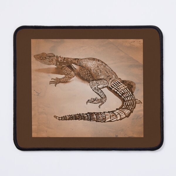 Item preview, Caucasian Agama designed and sold by pinkyjainpan.