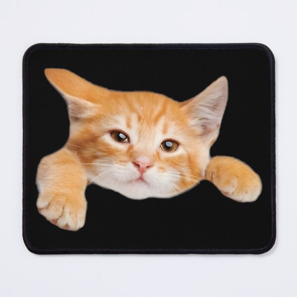 Item preview, orange cat designed and sold by ipoppppp.