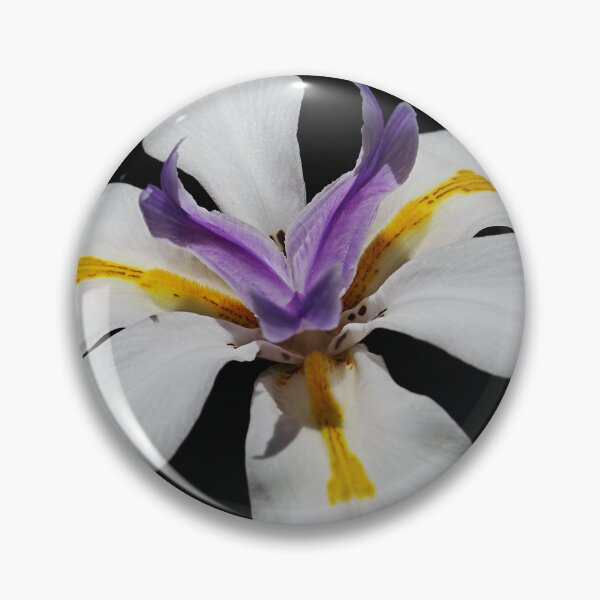 Item preview, White Iris Flower With Purple Heart designed and sold by Joy Watson - Natural Light Photography .