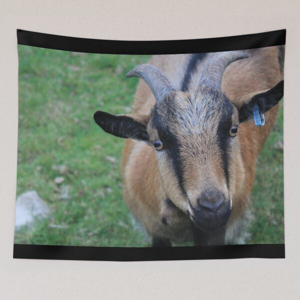 Item preview, Farm goat - Goat farmer designed and sold by animal-animal.