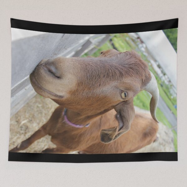 Item preview, Farm goat - Goat farmer designed and sold by animal-animal.