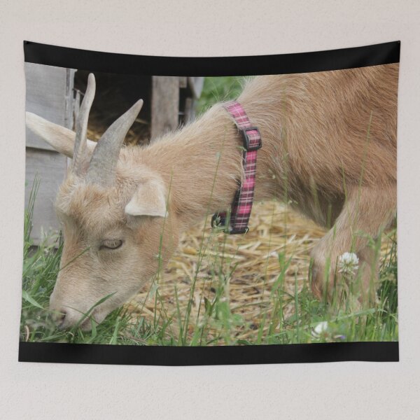 Item preview, Farm goat - Goat farmer designed and sold by animal-animal.