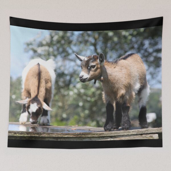 Item preview, Farm goat - Goat farmer designed and sold by animal-animal.