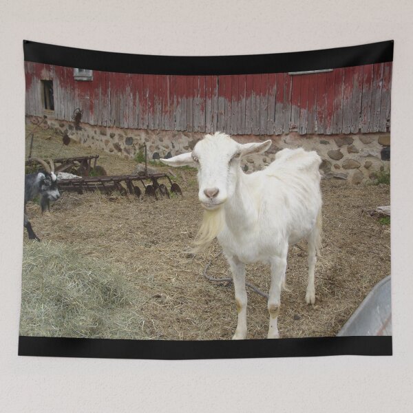 Item preview, Farm goat - Goat farmer designed and sold by animal-animal.