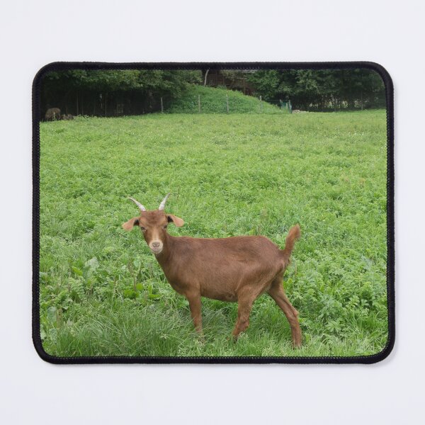 Item preview, Farm goat - Goat farmer designed and sold by animal-animal.